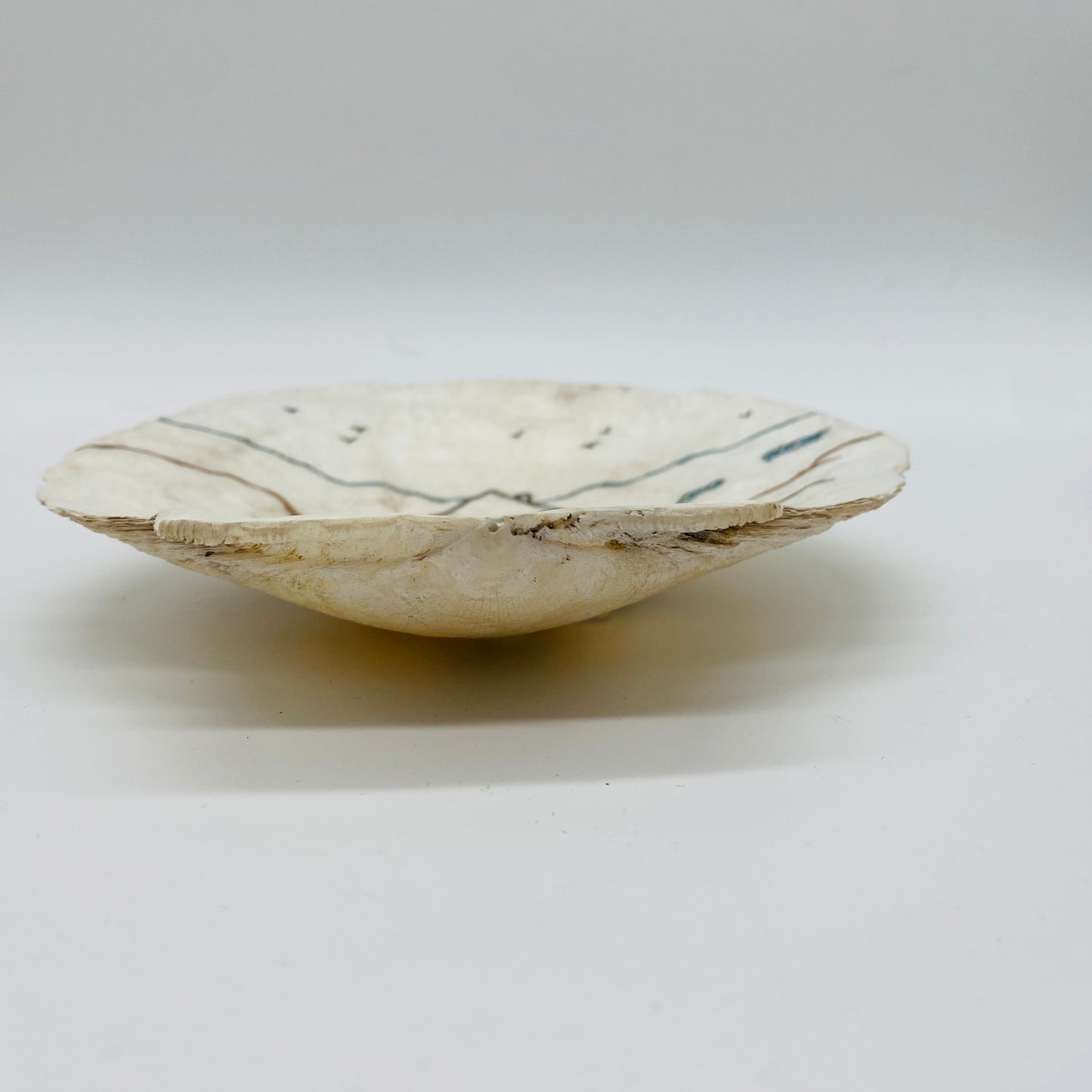 Handpainted Shell
