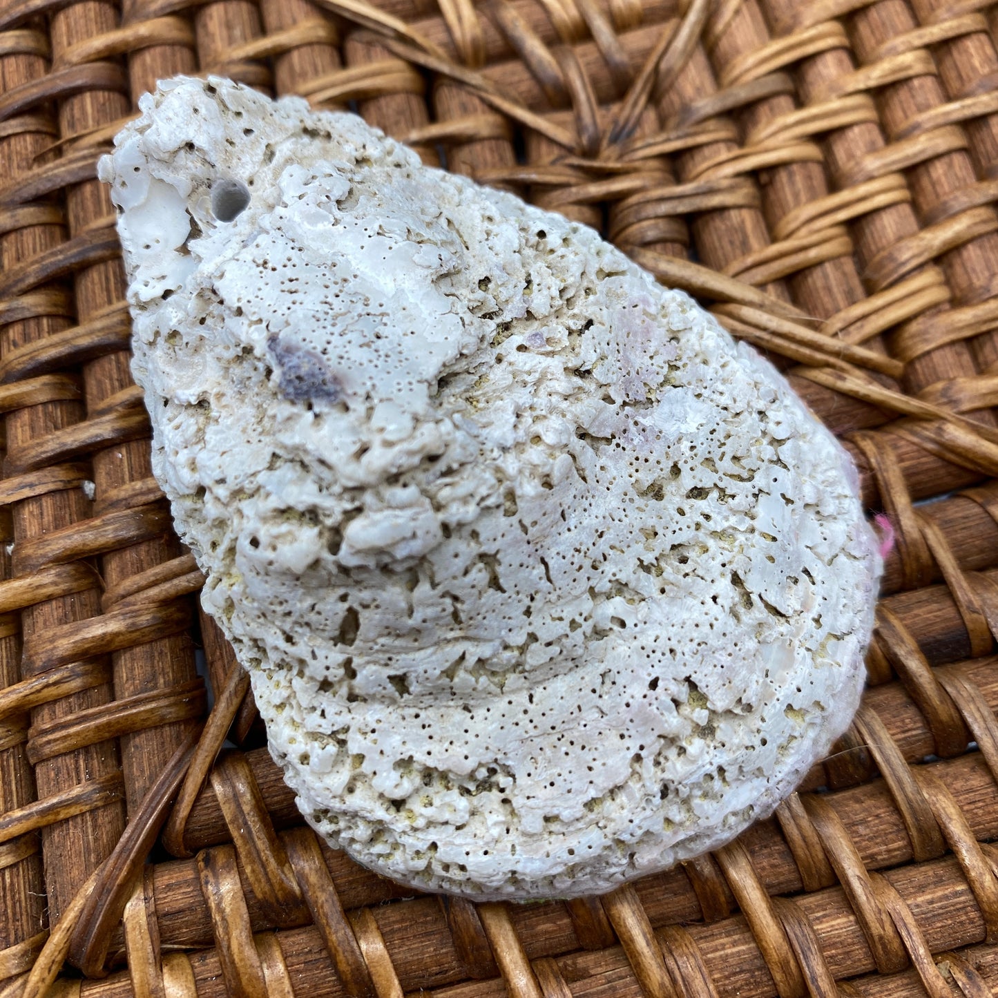 Small Oyster Shell Gilded Decoupage, Trinket Dish, Jewelry Tray, Gift, Ornament, Event Favor