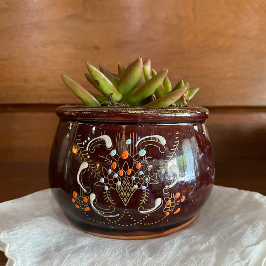Vintage Vessel Planter with Succulent