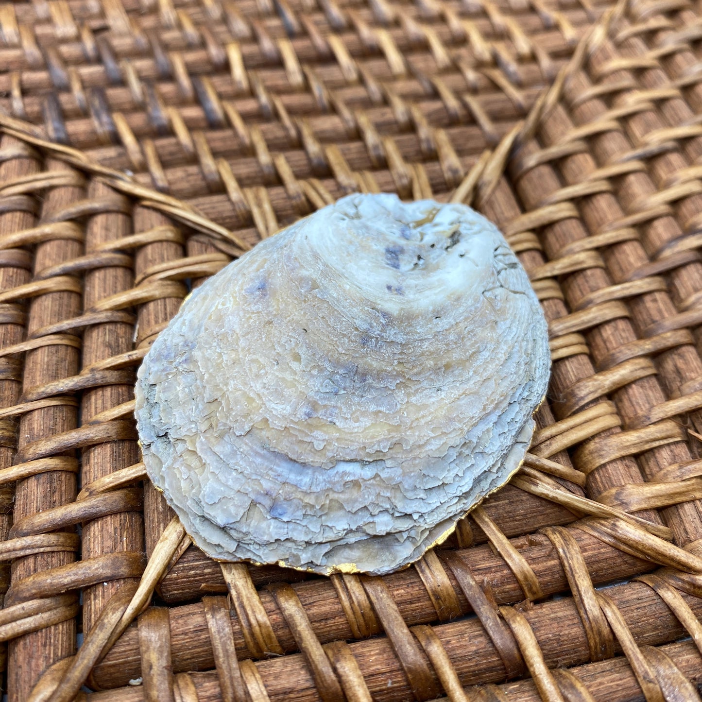 Small Oyster Shell Gilded Decoupage, Trinket Dish, Jewelry Tray, Gift, Ornament, Event Favor