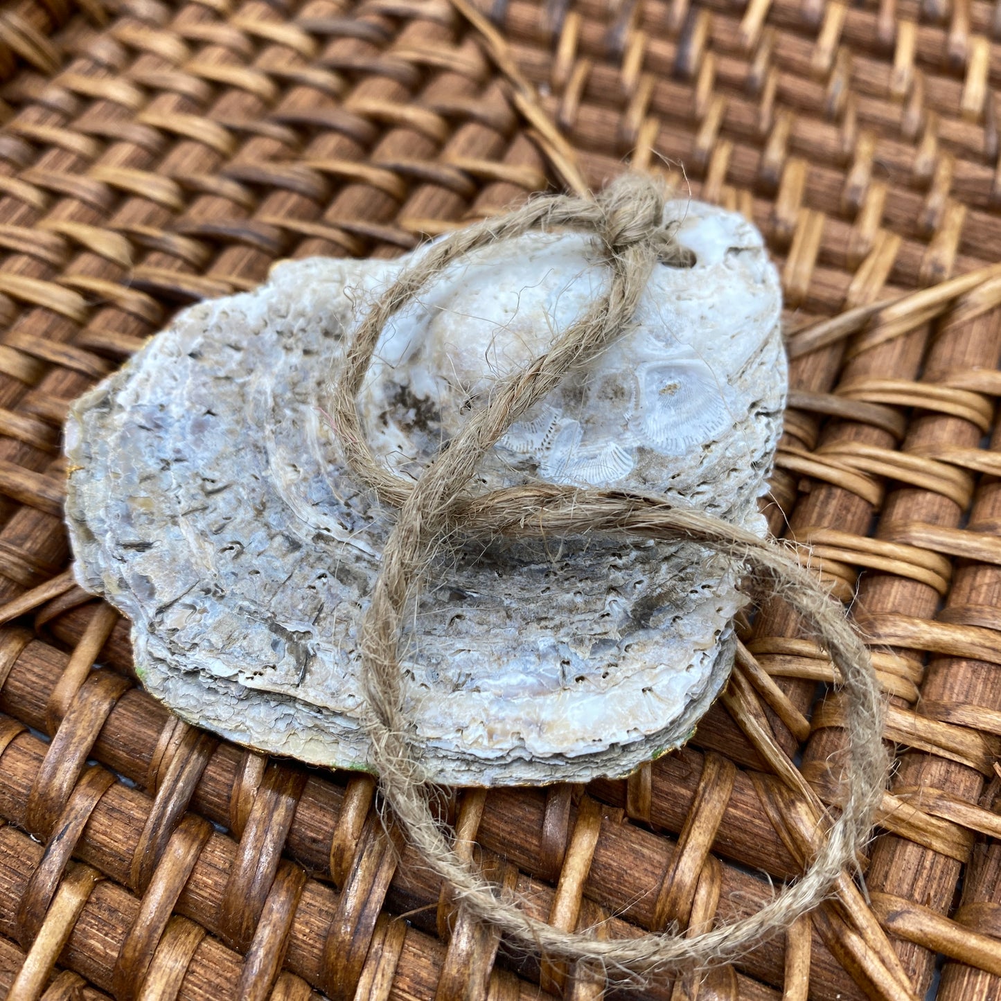 Small Oyster Shell Gilded Decoupage, Trinket Dish, Jewelry Tray, Gift, Ornament, Event Favor