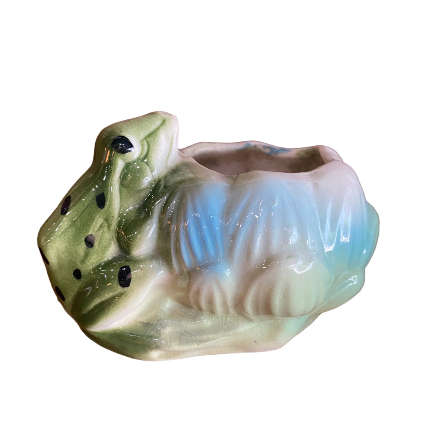 Frog Planter