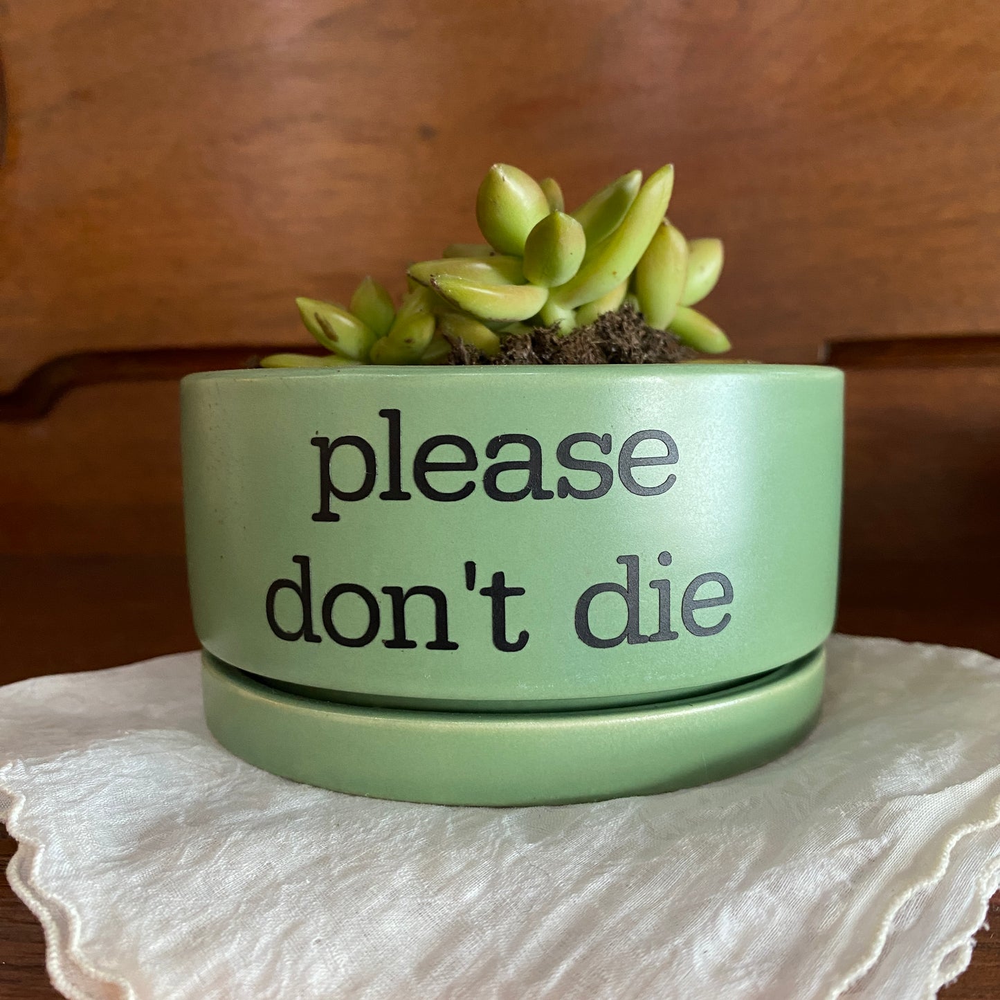 Sassy Green Planter with Succulent - Please Don’t Die